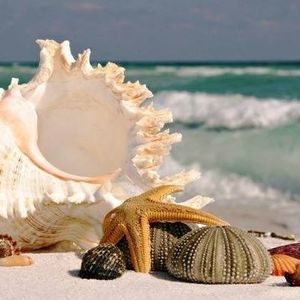 Meet your Posher, Aishlynn